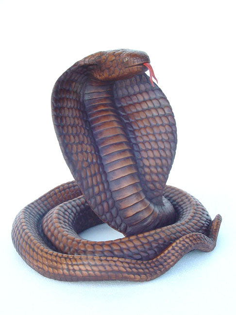 Cobra Brown (Lifesize)