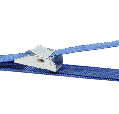 Streetwize 2.5 mtr Buckle Tie Down Pair